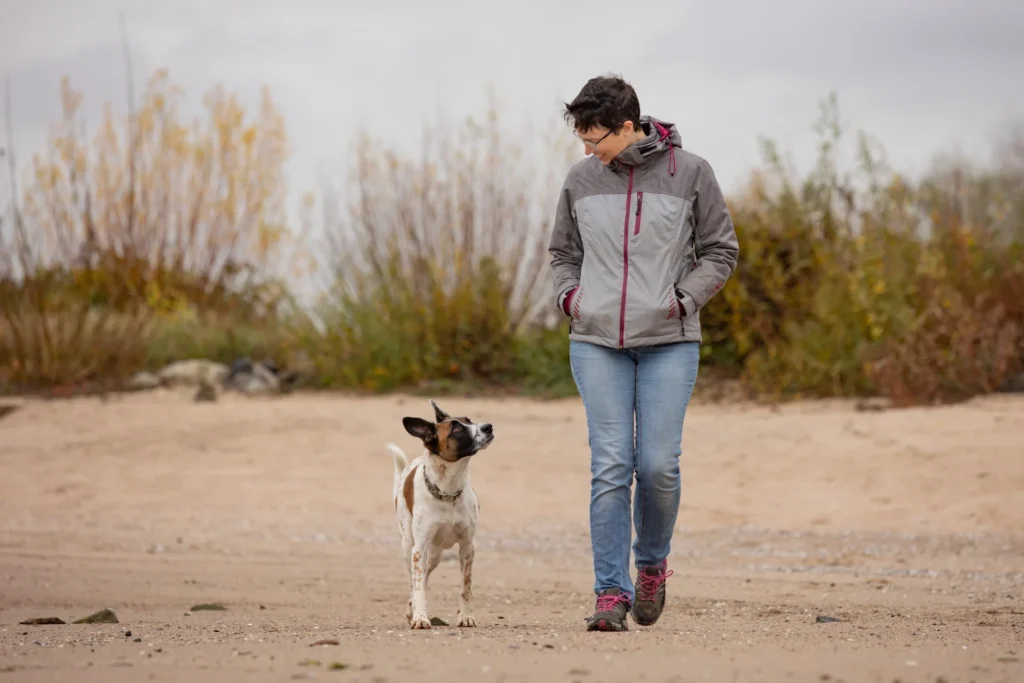 Einzeltraining Hundeschule Stummeier Einzeltraining mit Ihrem Hund bei FREUNDSCHAFT OHNE LEINE