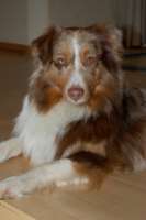 SUNNY – lernte schnell dazu
